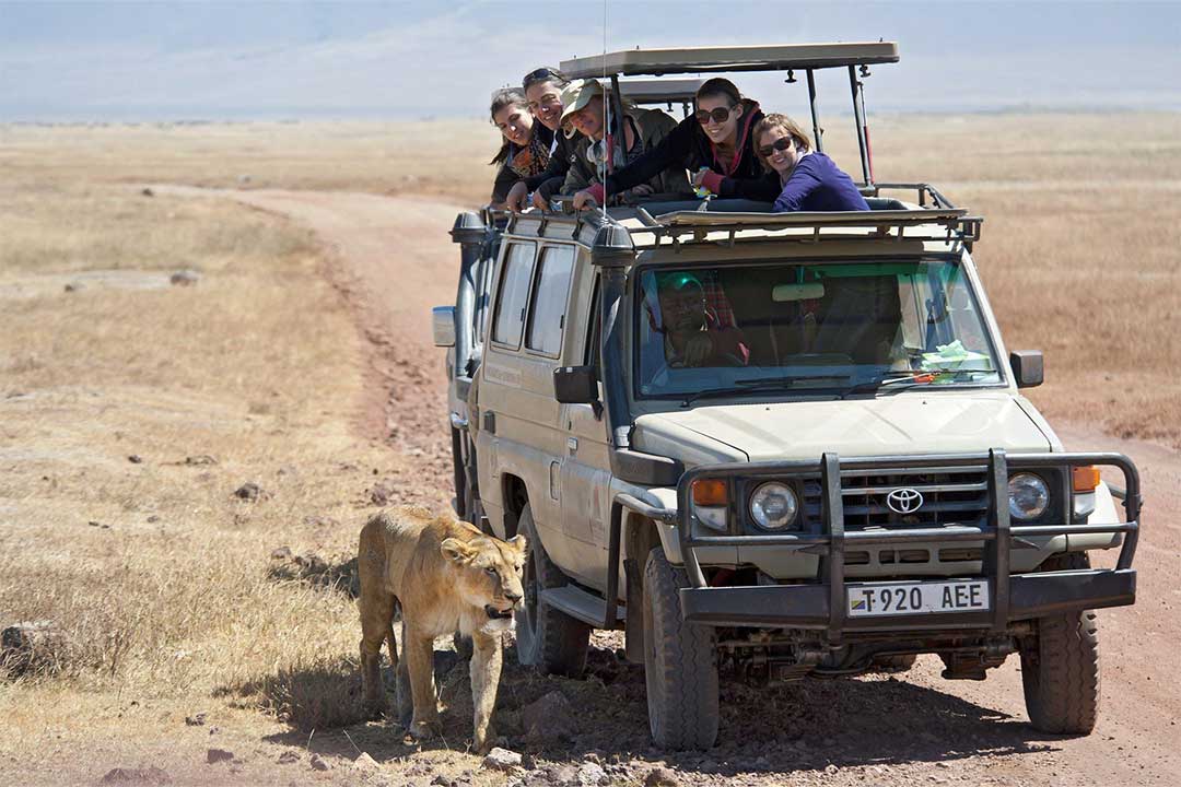 Tanzania-Family-safari