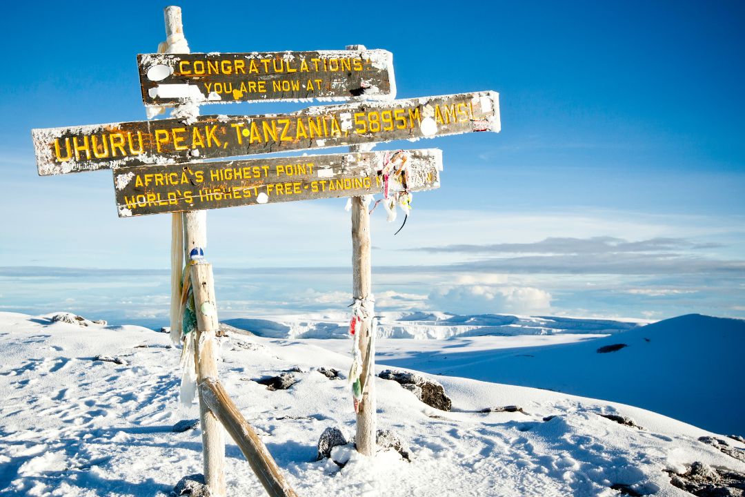 mt kilimanjaro