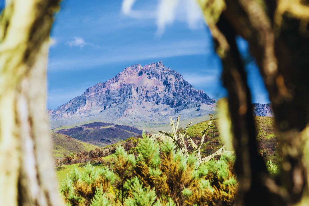 mt kilimanjaro