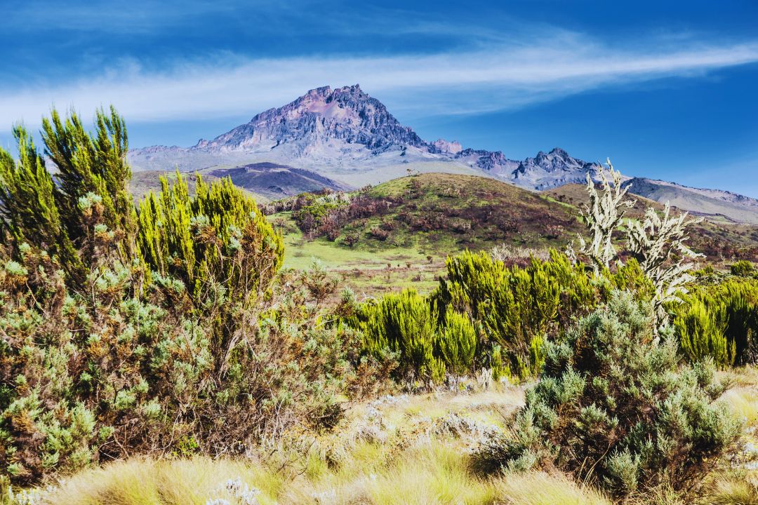 mt kilimanjaro