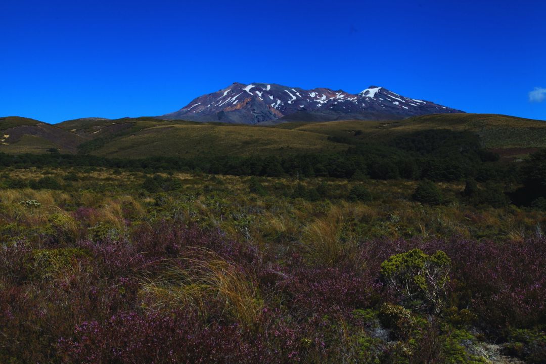 mt kilimanjaro