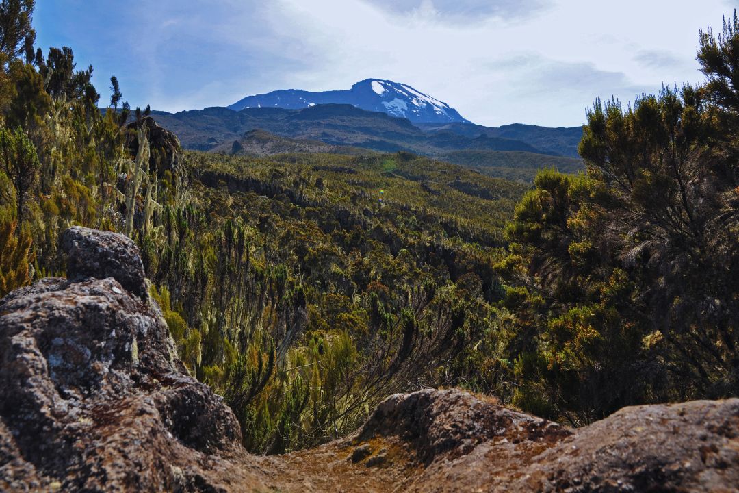 mt kilimanjaro