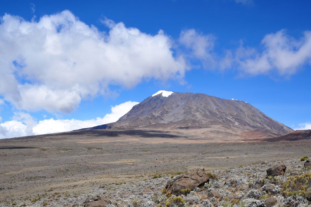 mt kilimanjaro
