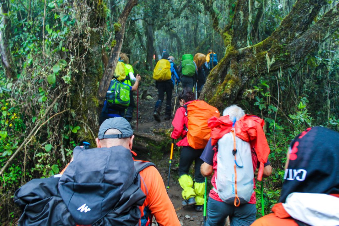 kilimanjaro machame route 7 days